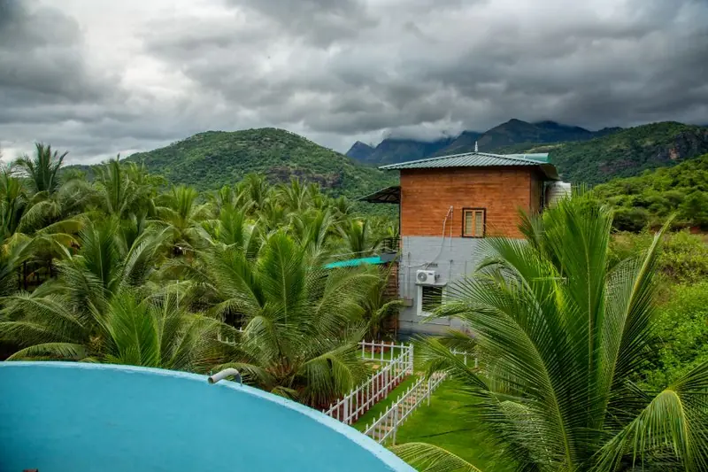 The farm buildings across the coconut grove with hills behind
