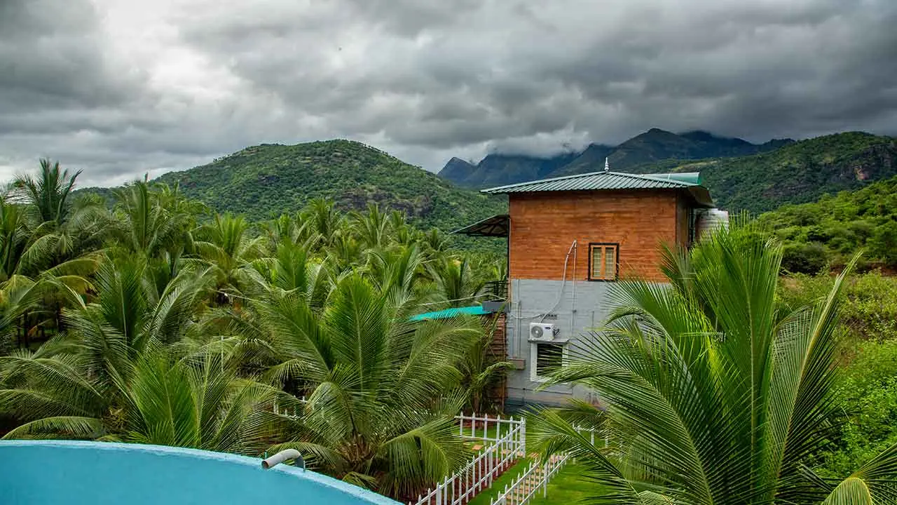 The farm buildings at Jungle Valley Farms among the coconut palms, with the Western Ghats behind