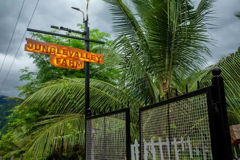 Jungle Valley Farm entrance sign at the gate among the palms